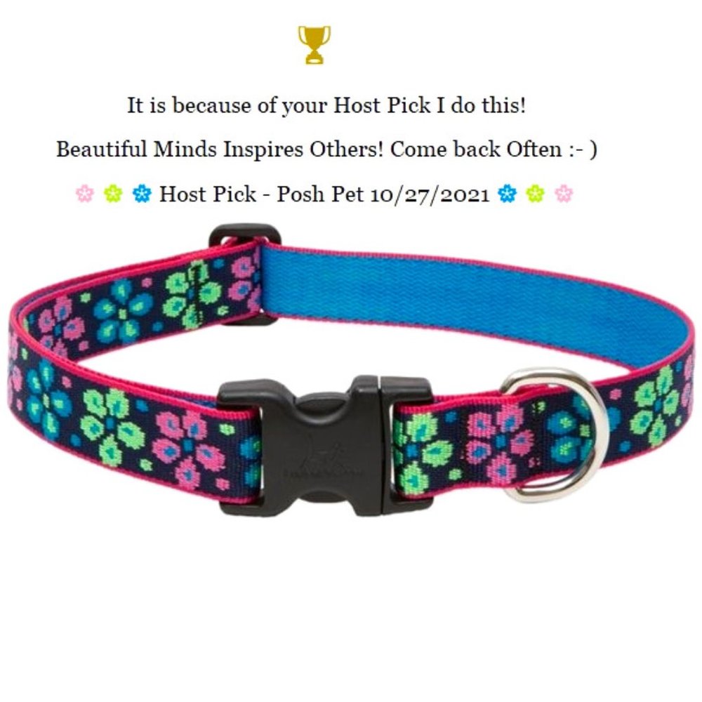 🌸 Lupine Pet Flower Power Dog Collar 1"W🌸13-16 L